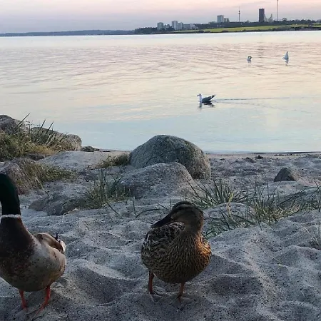 Σπίτι διακοπών 